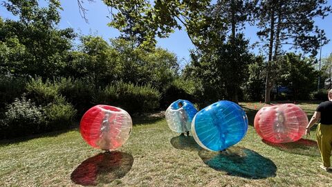 Kindern in großen BumperBalls auf einer Wiese rennen umher.